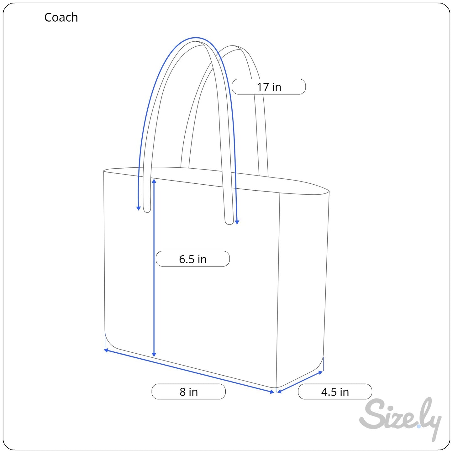 Coach 9847 Leather Mini Market Tote